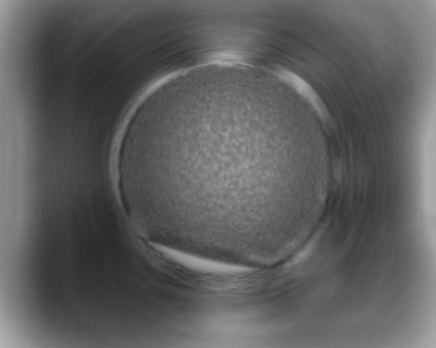 X0000088631435200706011137