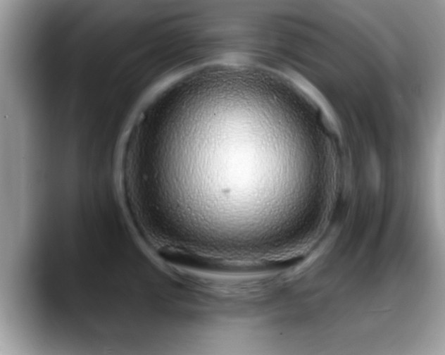 X0000088631437200706011137