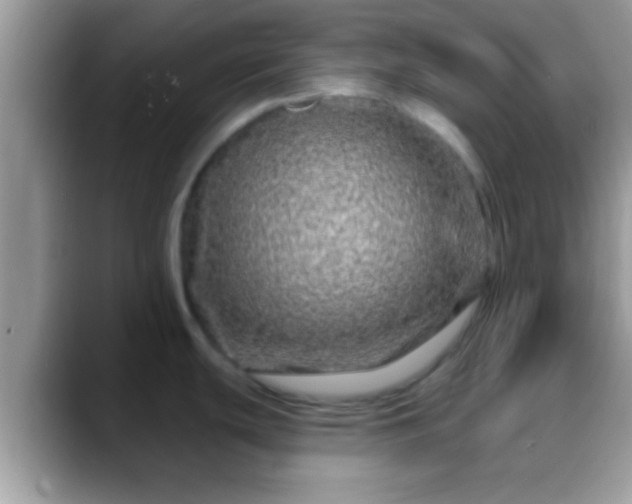 X0000088631439200706011137