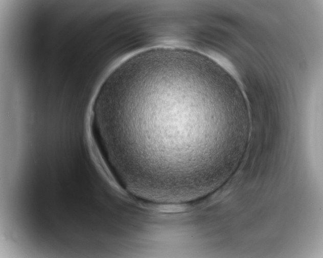 X0000088631440200706011137