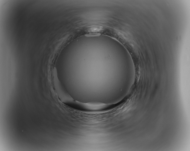 X0000088631441200706011136