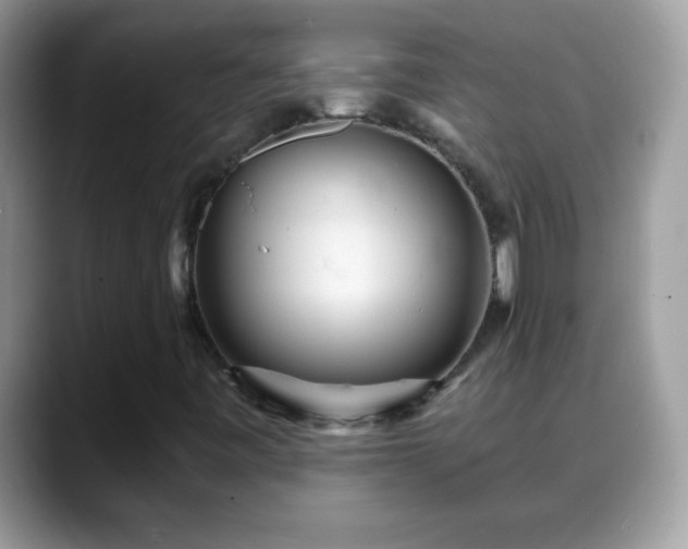 X0000088631443200706011136