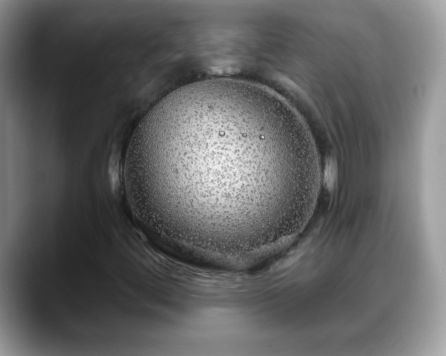 X0000088631444200706011136