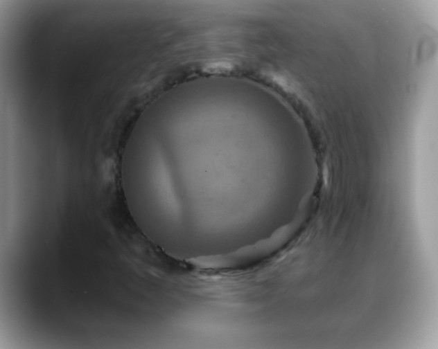 X0000088631445200706011136