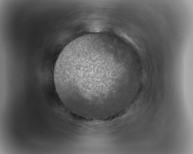 X0000088631446200706011136