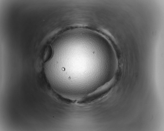 X0000088631448200706011136