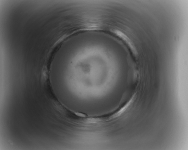 X0000088631449200706011136