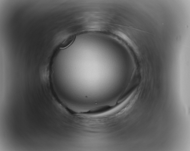 X0000088631450200706011136