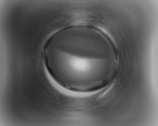 X0000088631453200706011136