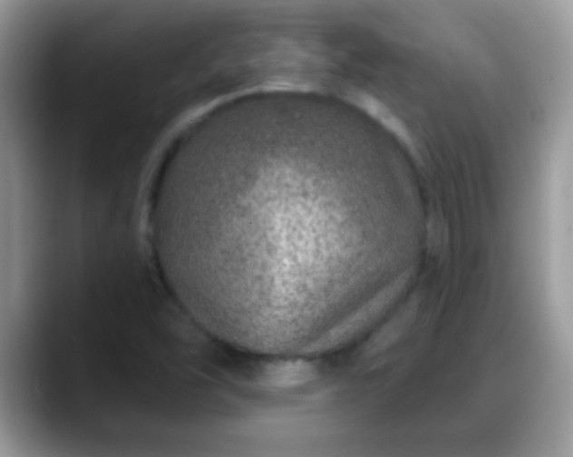 X0000088631454200706011136