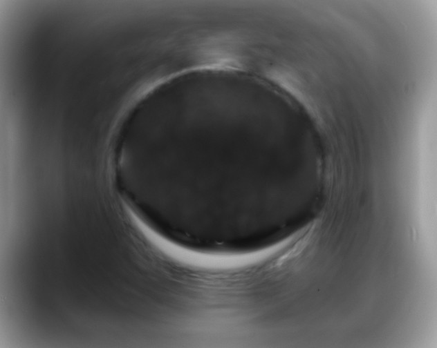 X0000088631455200706011136