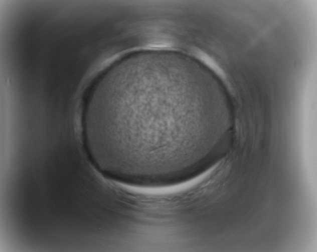 X0000088631456200706011136