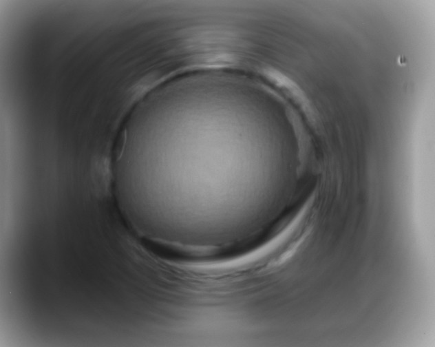 X0000088631457200706011136