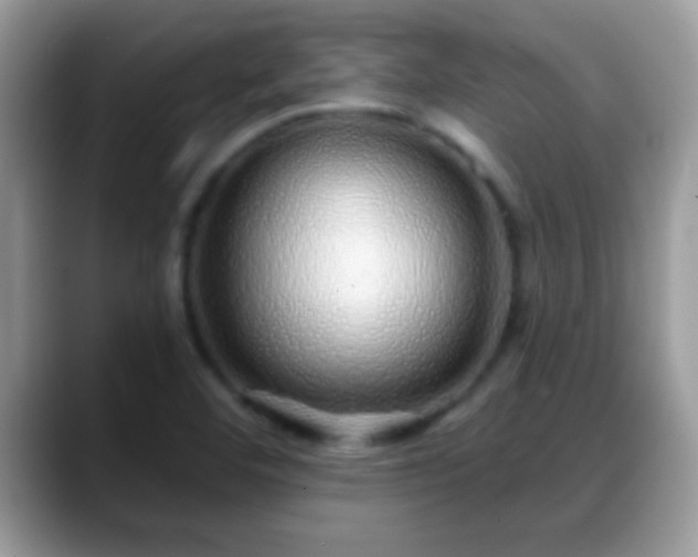 X0000088631460200706011136