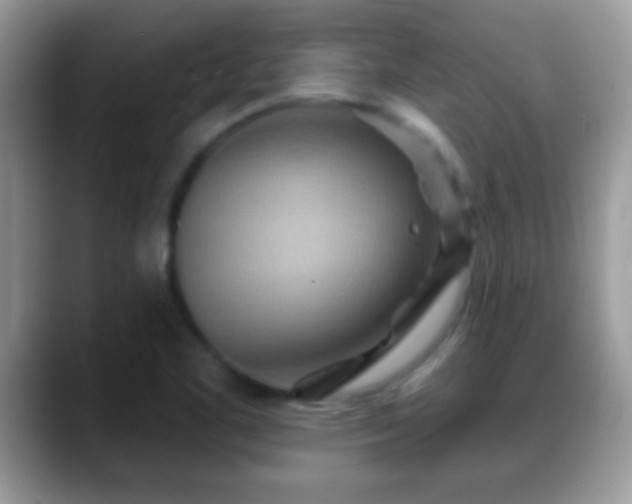 X0000088631461200706011136