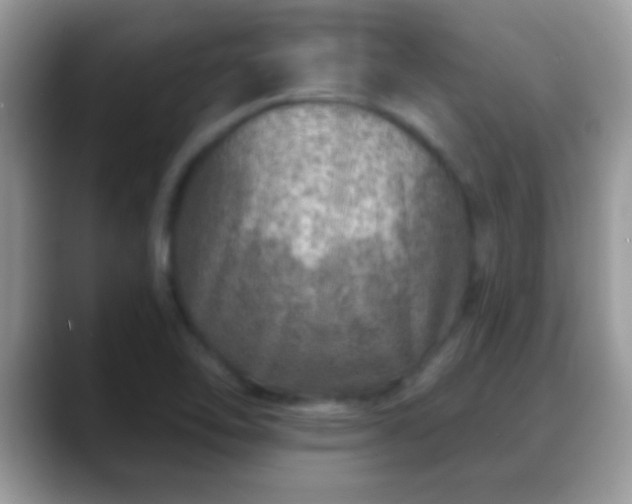 X0000088631462200706011136