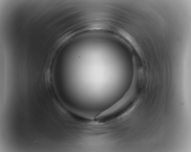 X0000088631465200706011136