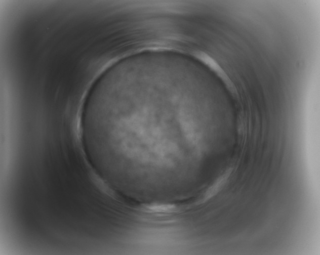 X0000088631466200706011136