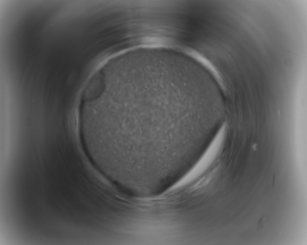 X0000088631467200706011136