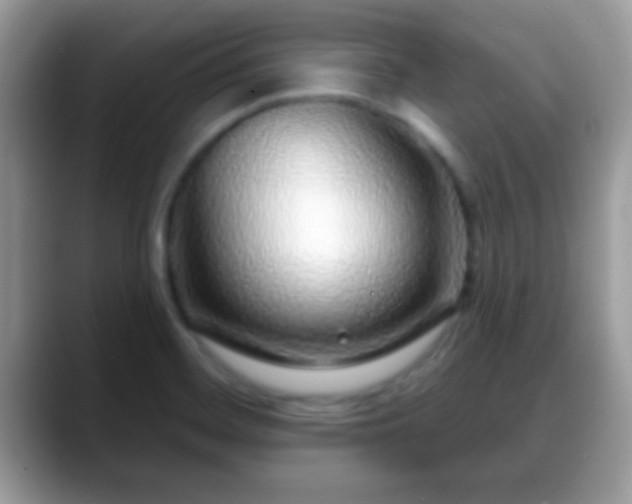 X0000088631468200706011136