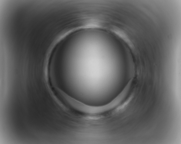 X0000088631469200706011136