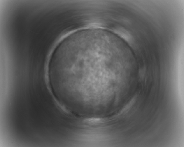 X0000088631470200706011136