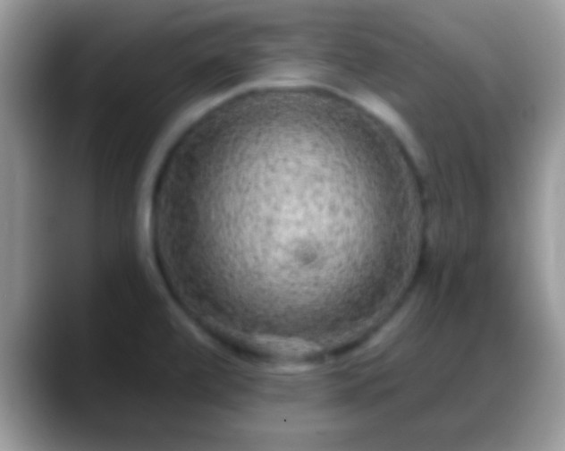 X0000088631472200706011136