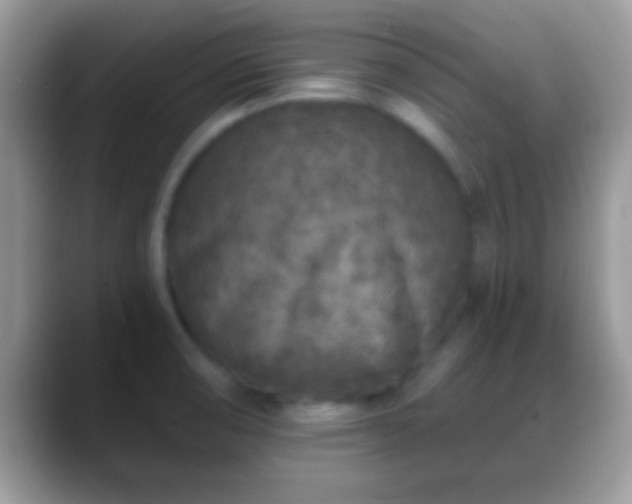 X0000088631474200706011136