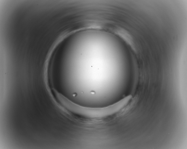 X0000088631475200706011136