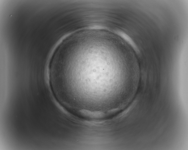 X0000088631476200706011136