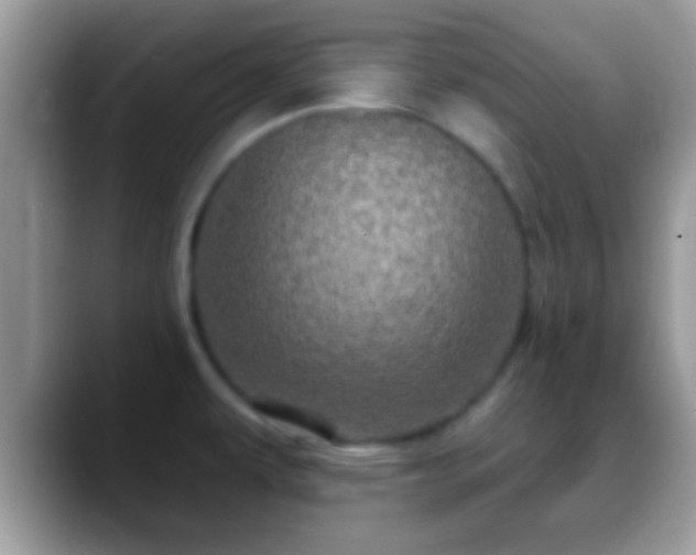 X0000088631479200706011136