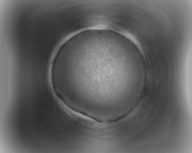 X0000088631480200706011136