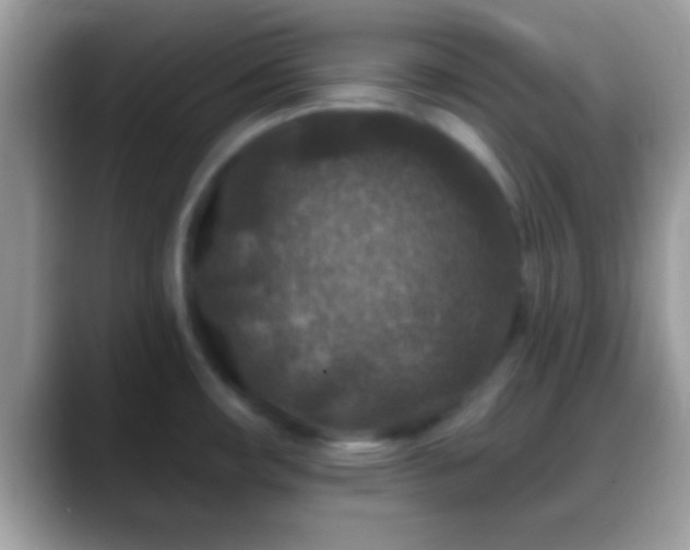 X0000088631482200706011136