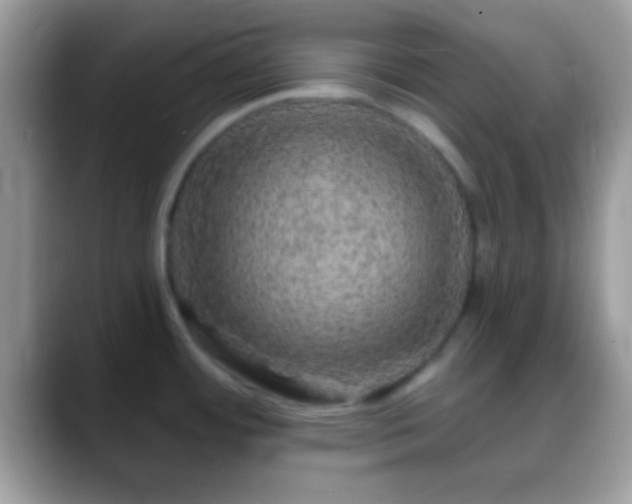 X0000088631484200706011136