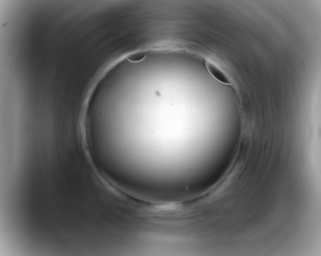 X0000088631486200706011136