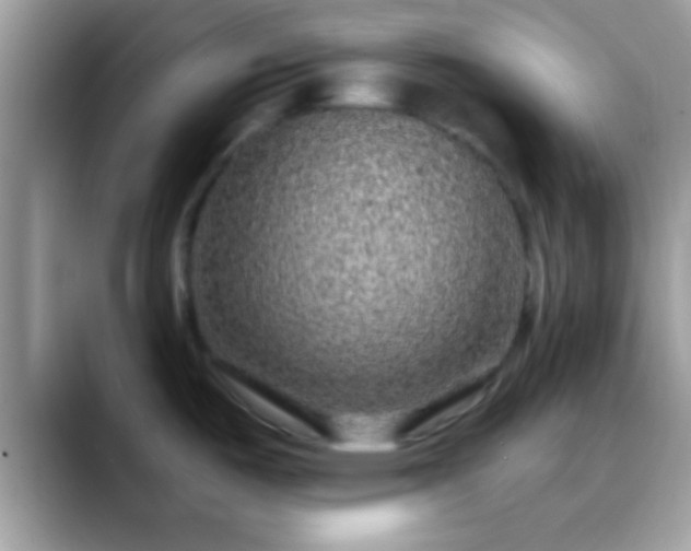 X0000088631487200706011136