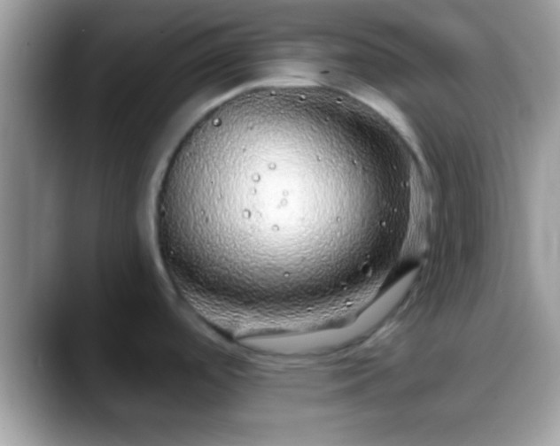 X0000088631488200706011136