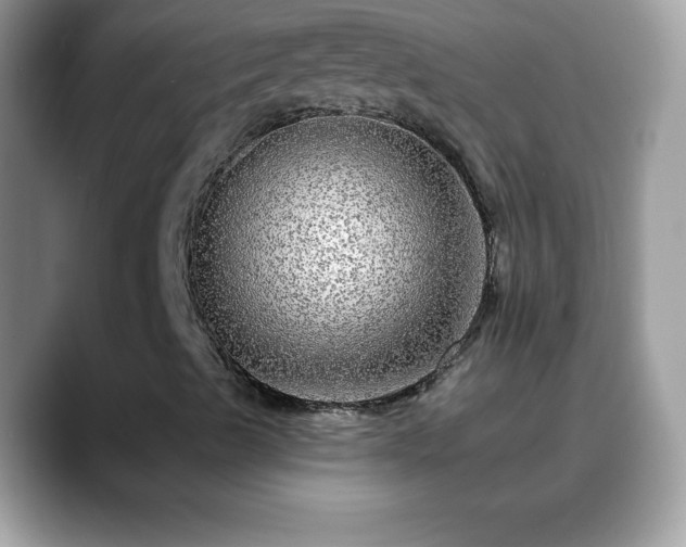 X0000088631489200706011135