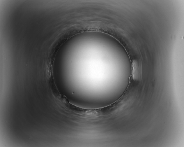 X0000088631491200706011135