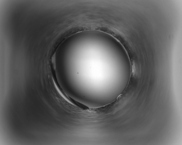 X0000088631492200706011135