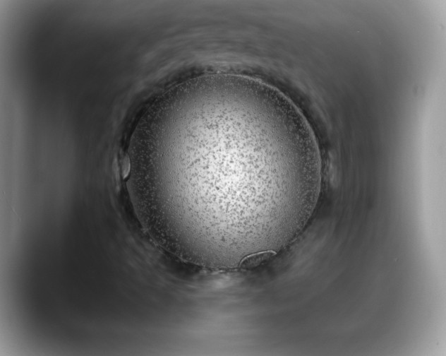 X0000088631493200706011135