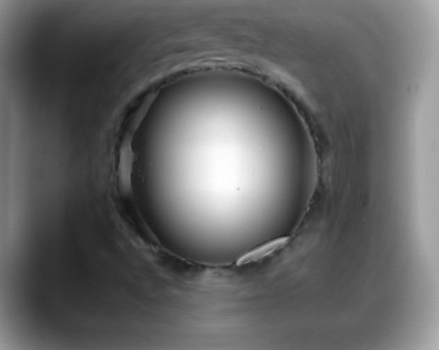 X0000088631496200706011135