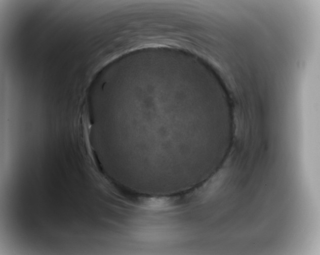 X0000088631497200706011135