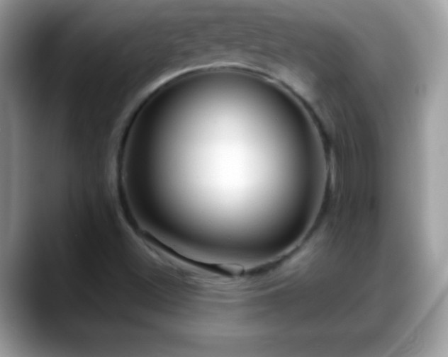 X0000088631500200706011135