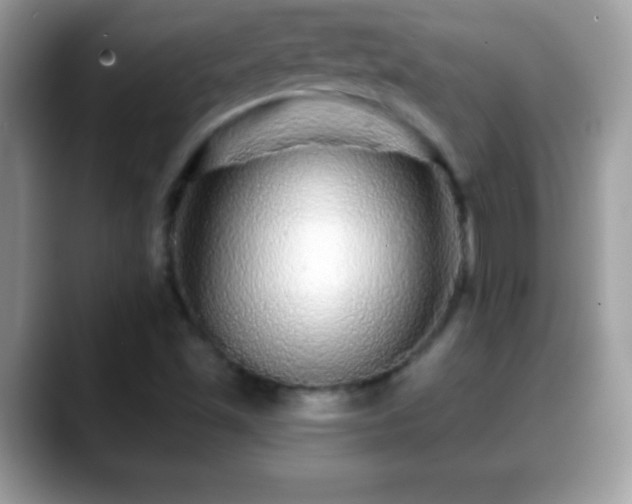 X0000088631501200706011135