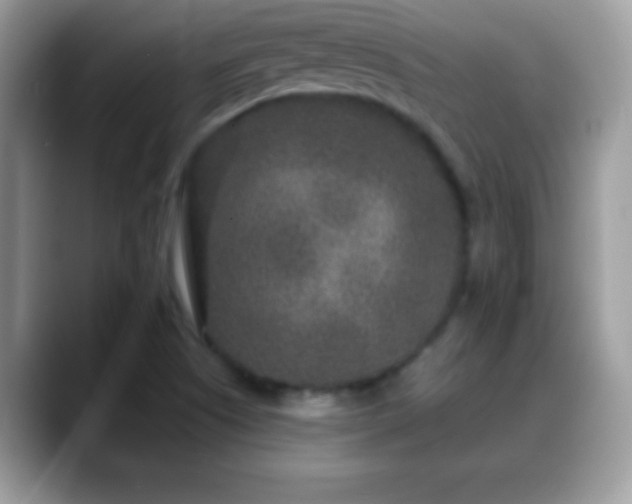 X0000088631505200706011135