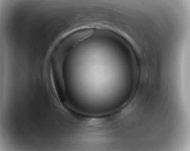 X0000088631506200706011135