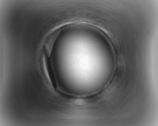 X0000088631507200706011135