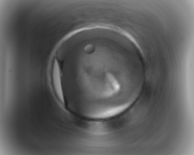 X0000088631508200706011135