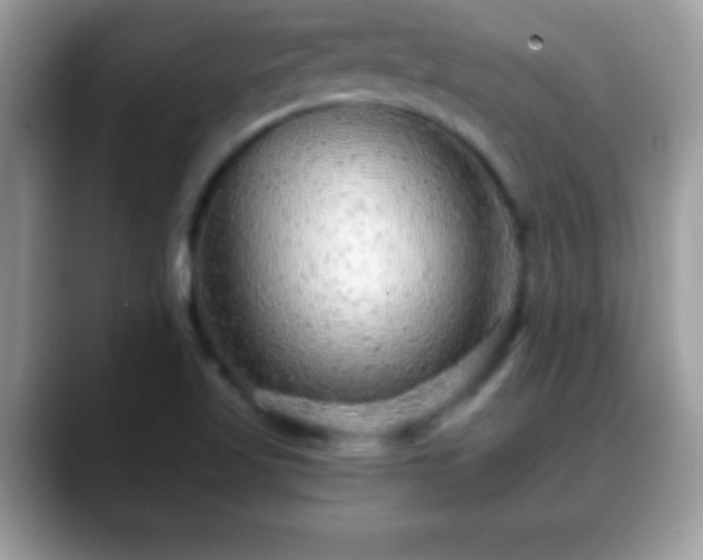 X0000088631509200706011135